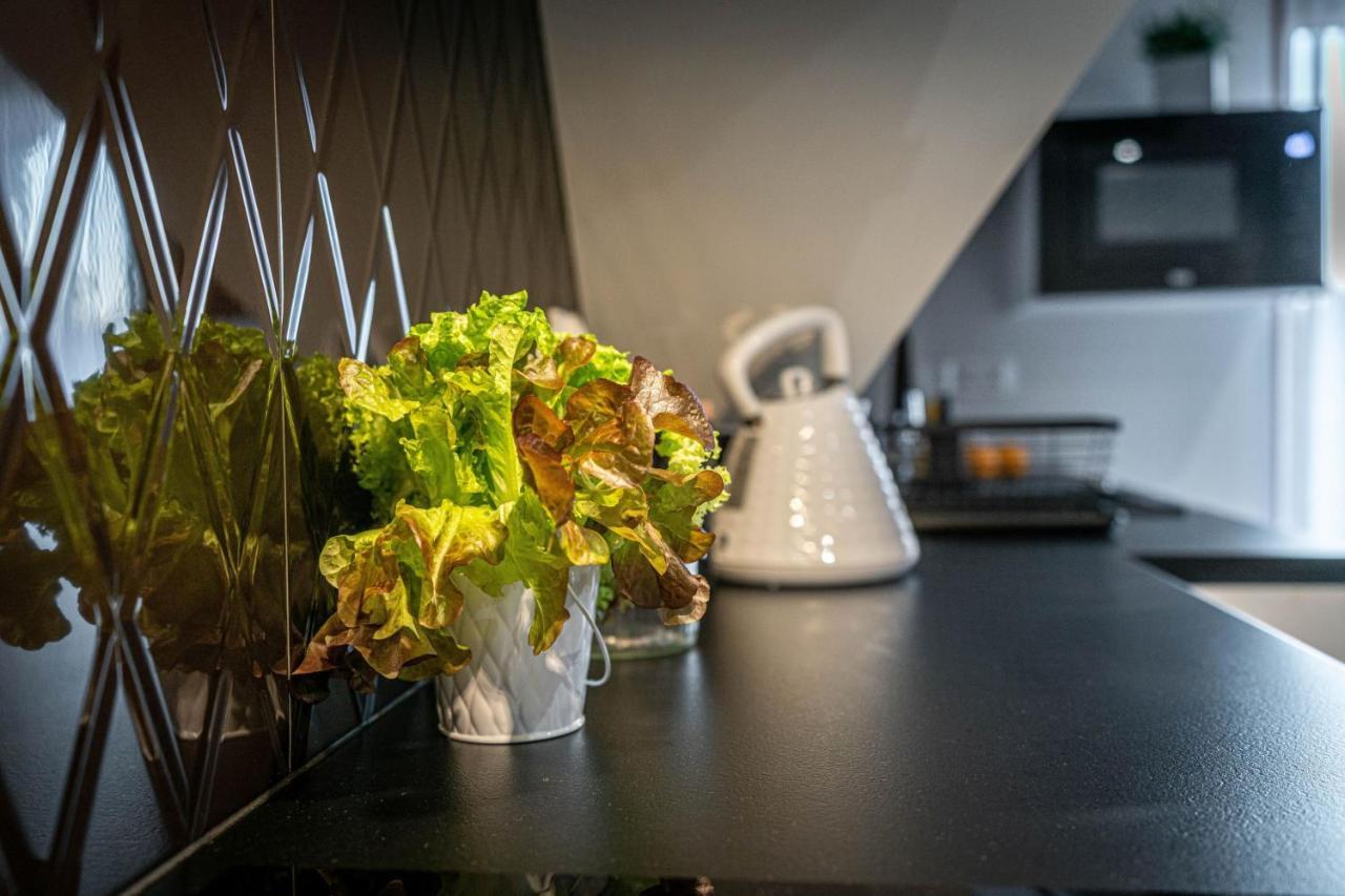 Stylovy Appartement Bialka Tatrzanska Buitenkant foto