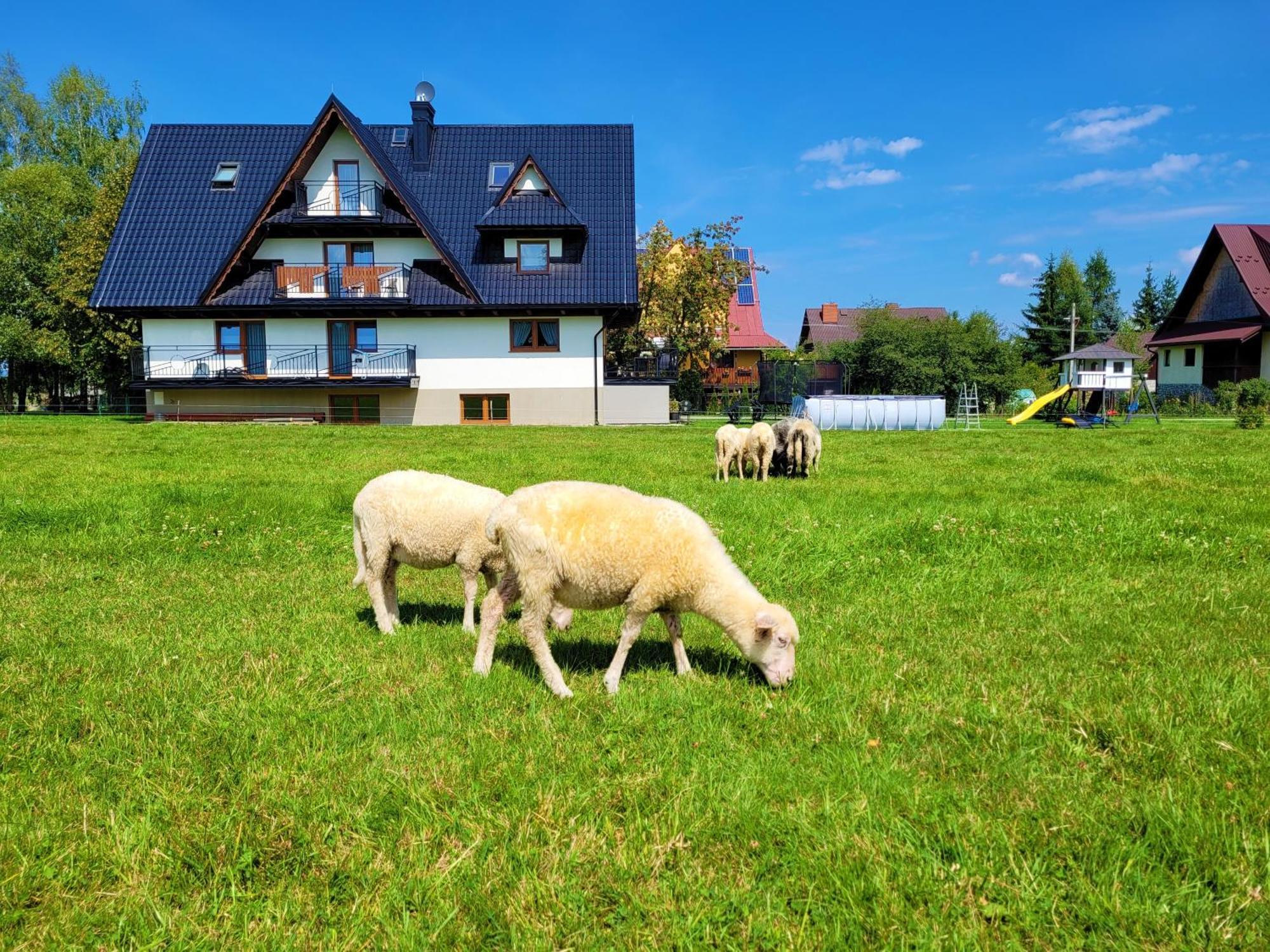 Stylovy Appartement Bialka Tatrzanska Buitenkant foto